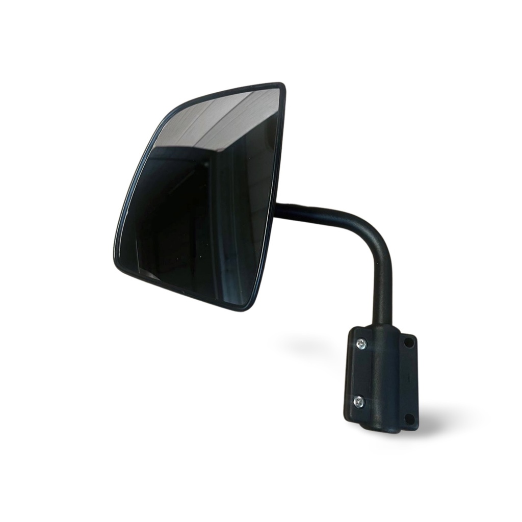 Left Side Mirror (PC)